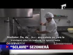 Romanii, "sclavi" sezonieri in Italia