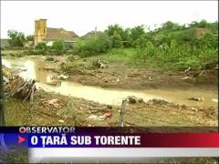 Romania maturata de ape