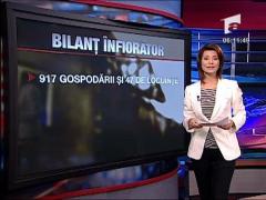 Bilant infiorator dupa viituri