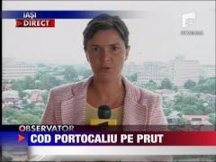 Cod portocaliu peste Prut