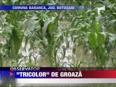 Harta problemelor hidrologice