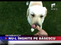 Nu-l inghite deloc pe Basescu!