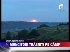 Muncitori trasniti pe camp