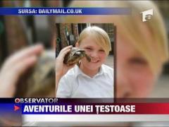 Aventurile unei testoase