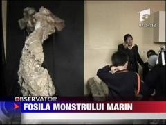 Fosila monstrului marin