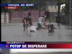 Dezastru in Tamaseni