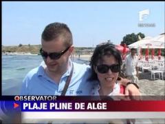 Plaje pline de alge