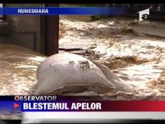 Blestemul apelor a lovit Romania