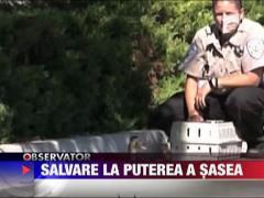Ratuste salvate dintr-un canal