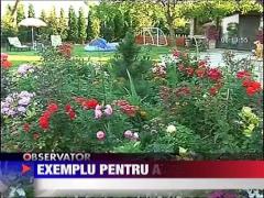 Exemplu pentru altii