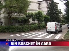 Treceri de pietoni, din boschet in gard