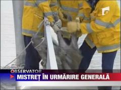 Mistret, in vizita in oras