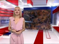 Povesti de tabloid 08.08.2010