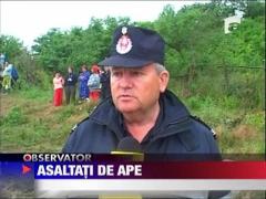 Observator 13 Weekend