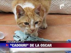 "Cadouri" de la Oscar