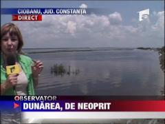 Dunarea a inundat din nou casele oamenilor