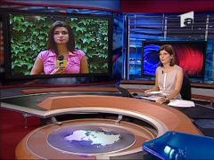 Oradea: Patru oameni, calcati pe trecere