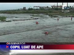 Copil luat de ape