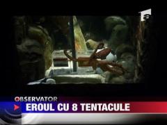 Paul, eroul cu 8 tentacule