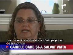 Cainele care si-a salvat viata