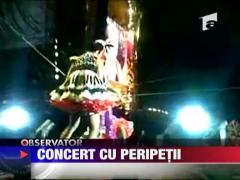 Pink si-a intrerupt un concert pentru ca s-a accidentat pe scena