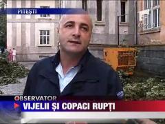 O vijelie de cateva minute a facut prapad in Pitesti!