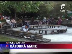 Caldura mare