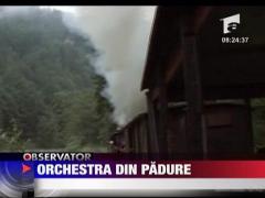 Orchestra din padure