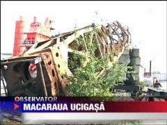 Ucis de macara