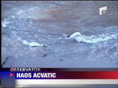 Haos acvatic la Targu Jiu