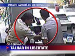 Talhar in libertate