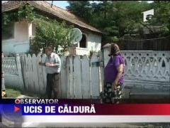 Bebelus, ucis de caldura