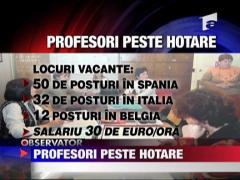 Profesori peste hotare