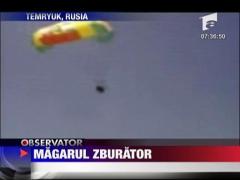 Magarul zburator