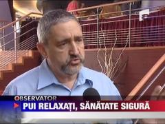 Pui relaxati, sanatate garantata