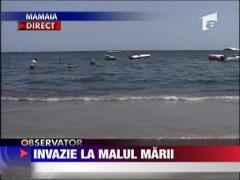 Invazie la malul marii