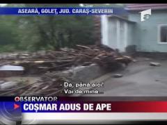 Cosmar adus de ape