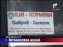 Capsunarii se intorc in vacanta in Romania