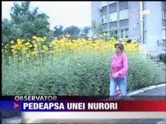 Pedeapsa unei nurori