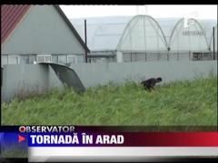 Tornada in Arad