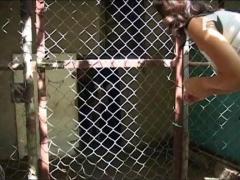 Caprioara salvata de marinari din Dunare