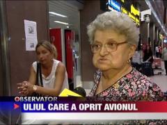 Uliul care a oprit avionul