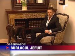 Catalin Botezatu, jefuit de telefonul de 10000 de euro