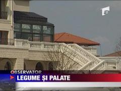 Videanu, de la legume la palate