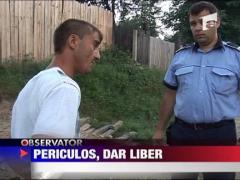 Periculos, dar liber