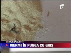 Viermi in punga cu gris
