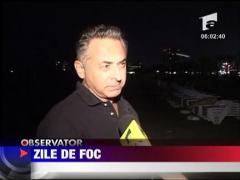 Cod Galben de canicula