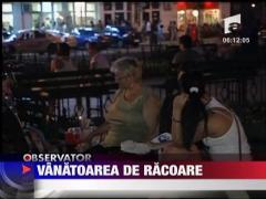 Vanatoarea de racoare