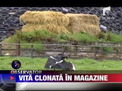 Vita clonata, in magazine