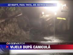 Vijelii dupa canicula